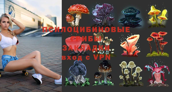 синтетический гашиш Богородск