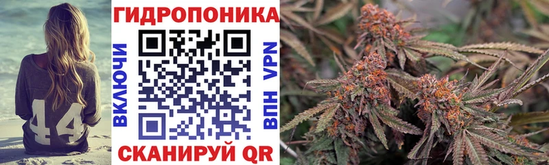 продажа наркотиков  Геленджик  сайты даркнета клад  Бошки марихуана конопля 